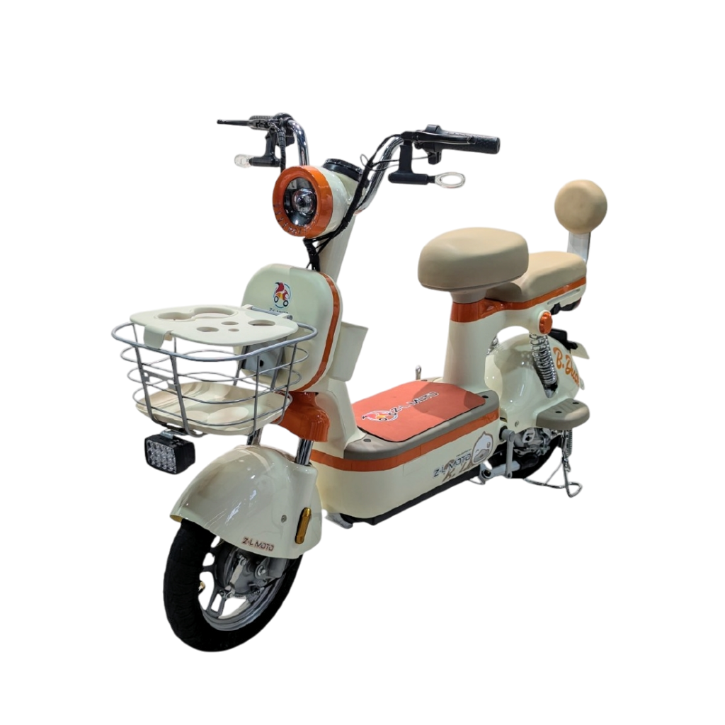 Bicicleta Eléctrica MARIA - foto 4