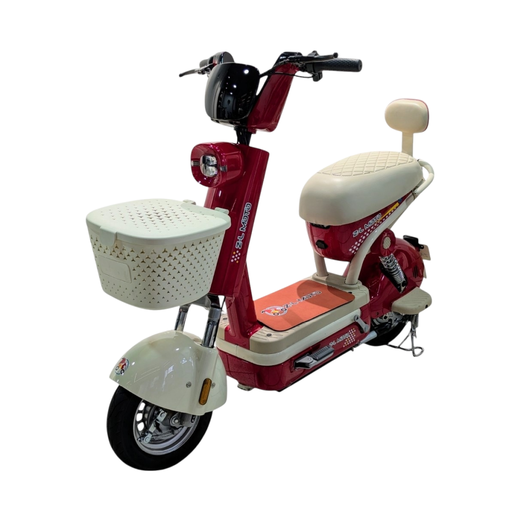 Bicicleta Eléctrica: Regina - foto 2