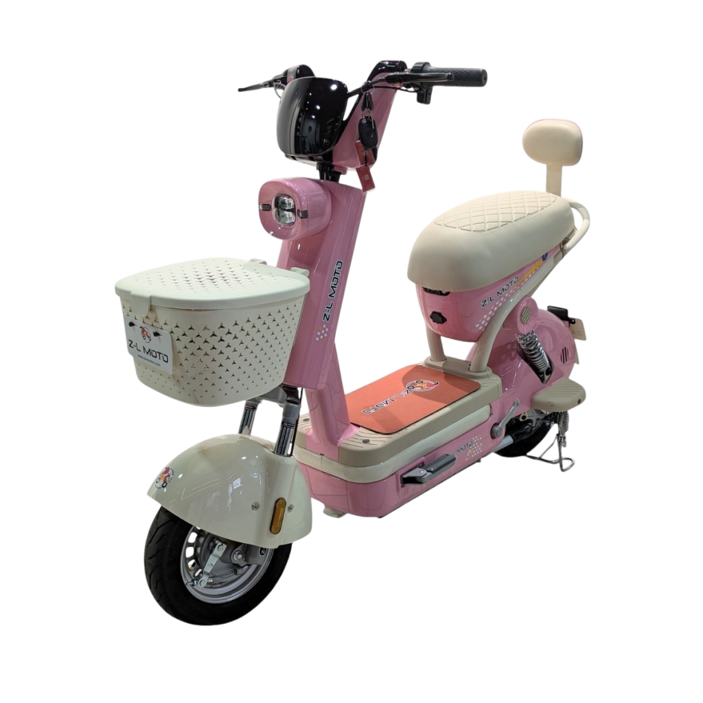 Bicicleta Eléctrica: Regina - foto 3