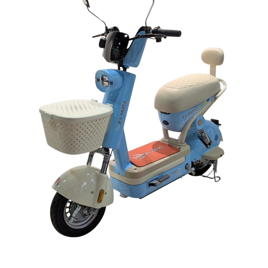 Bicicleta Eléctrica: Regina - foto 4