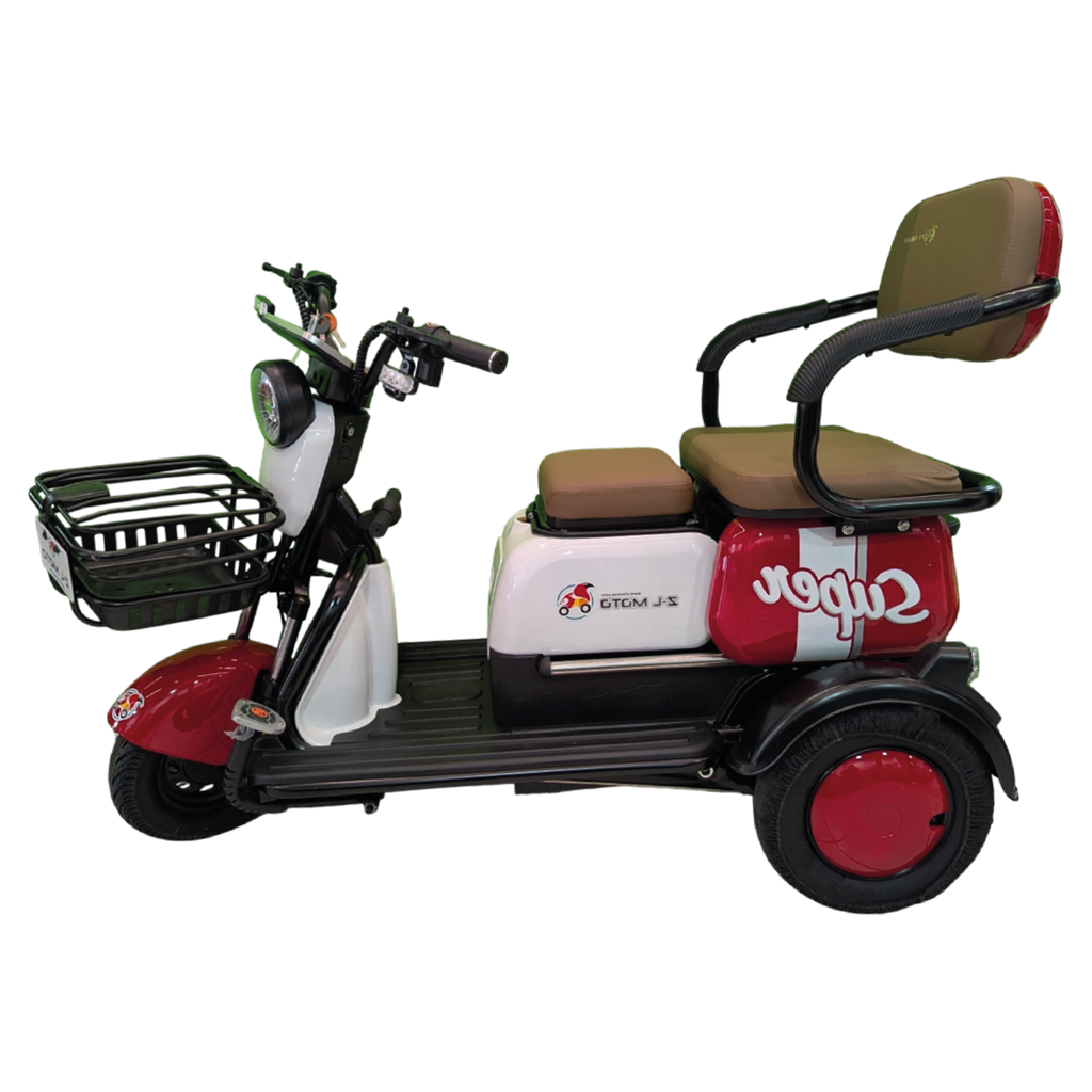 Triciclo Eléctrico SOFÍA - foto 5